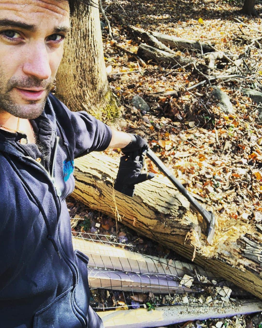 コリン・ドネルのインスタグラム：「🎶 “I’m a lumberjack and I’m ok...” 🎶 . . . #NotActuallyALumberjack #imissmybeard #whereismyflannel #axe #sore #workout」