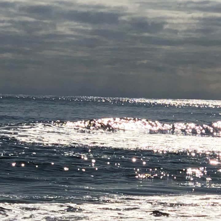 レイラニ・ビショップのインスタグラム：「Saturday ☀️🌊 Nov 2 ..perfection」