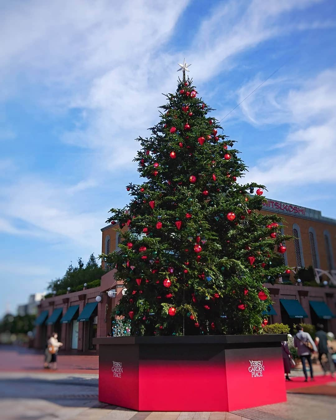 堀内敬子さんのインスタグラム写真 - (堀内敬子Instagram)「ハロウィンが終わったと思ったら、クリスマスの準備🎄  一年、早いですねー。  残りの日々も楽しみましょう✨  #一年あっという間」11月2日 20時11分 - horiuchi_keiko