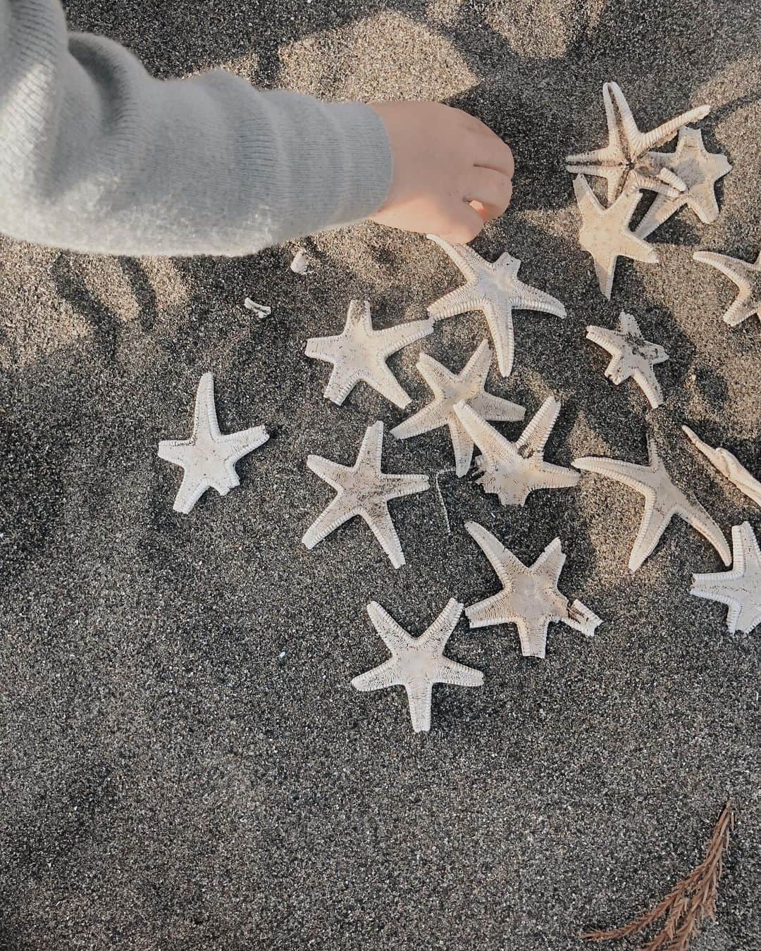 山中美智子さんのインスタグラム写真 - (山中美智子Instagram)「潮風と太陽が気持ち良すぎて、みんな寝そうになった🌴  本当にここが好き🐚 ほっとする☕️ 娘も走りまくって　ヒトデを拾いまくって　砂浜に寝転んで太陽の暖かさを感じてました♡」11月2日 20時13分 - alexiastam1988