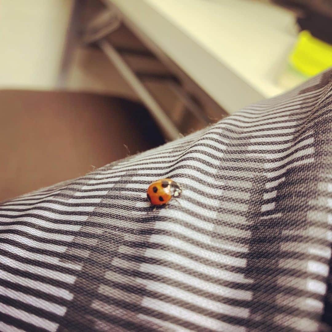 のインスタグラム：「‪ご観劇ありがとうございました。‬ ‪本日も2公演心身ともに浄化されました。‬ ‪マチソワ間、この子が僕の脚に止まったんだけど、どこから入ってきたんだろう。。。‬窓も閉まってるのに、、、 ‪まさか彼も、、、あの日一緒にいたのかな・・・。‬ #相対的浮世絵」