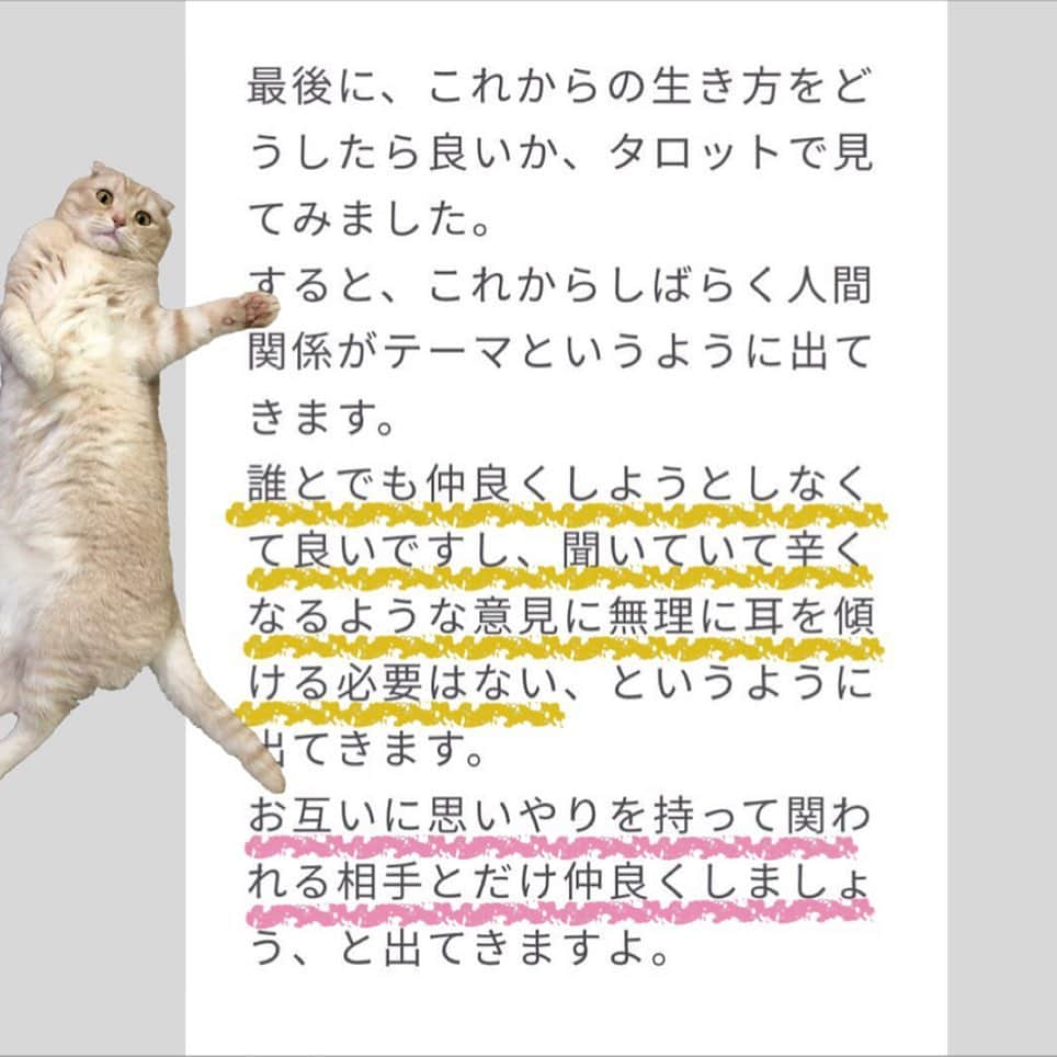 金太さんのインスタグラム写真 - (金太Instagram)「. ママ手相みてもらったらしいにゃ🐾 . . . . 金太の肉球のつぎは私の手相✋です😄 ______________________________  3枚目～#PR になります𓀠𓀠𓀠 MIROR @miror_jp さんから占いのお誘いを頂き手相をみていただきました🐾 . .  正直なところ、 今まで対面の占いは機会がなくて体験したこと無かったし、 ネット占いって...それはそれで抵抗がありました。が、フォロワーさんでされてる方がいたので勇気を出してして体験してみました😄(初回は返金保証付き) . 生まれて初めての手相✋です。 LINEで手の平の写真を数枚おくるだけ。 結果が文字で残るので、あとで｢あれ？なに言われたっけ🤔｣ってのがありません(病院でよくある私😅) . 長文で詳しくお返事いただいて、 色々背中を押された気分です😊 (👉👉少しだけ公開) . . .  #pr #miror #インターネット占い館miror ---------------------------」11月2日 21時13分 - vvviopw