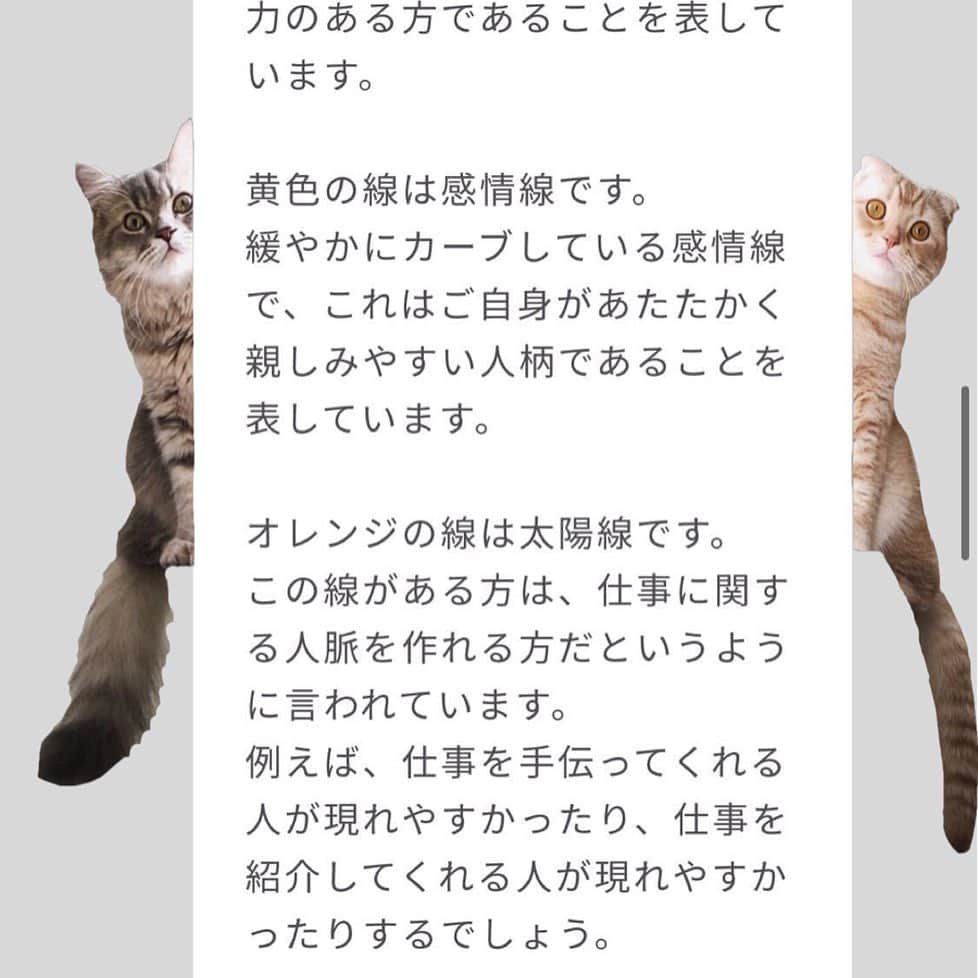 金太さんのインスタグラム写真 - (金太Instagram)「. ママ手相みてもらったらしいにゃ🐾 . . . . 金太の肉球のつぎは私の手相✋です😄 ______________________________  3枚目～#PR になります𓀠𓀠𓀠 MIROR @miror_jp さんから占いのお誘いを頂き手相をみていただきました🐾 . .  正直なところ、 今まで対面の占いは機会がなくて体験したこと無かったし、 ネット占いって...それはそれで抵抗がありました。が、フォロワーさんでされてる方がいたので勇気を出してして体験してみました😄(初回は返金保証付き) . 生まれて初めての手相✋です。 LINEで手の平の写真を数枚おくるだけ。 結果が文字で残るので、あとで｢あれ？なに言われたっけ🤔｣ってのがありません(病院でよくある私😅) . 長文で詳しくお返事いただいて、 色々背中を押された気分です😊 (👉👉少しだけ公開) . . .  #pr #miror #インターネット占い館miror ---------------------------」11月2日 21時13分 - vvviopw