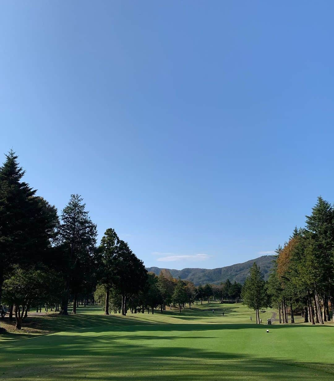 佐藤のぞみさんのインスタグラム写真 - (佐藤のぞみInstagram)「お天気良し🌞 #golf #秋 #🍁🌰🍄🍂」11月2日 21時31分 - satonozomi1028