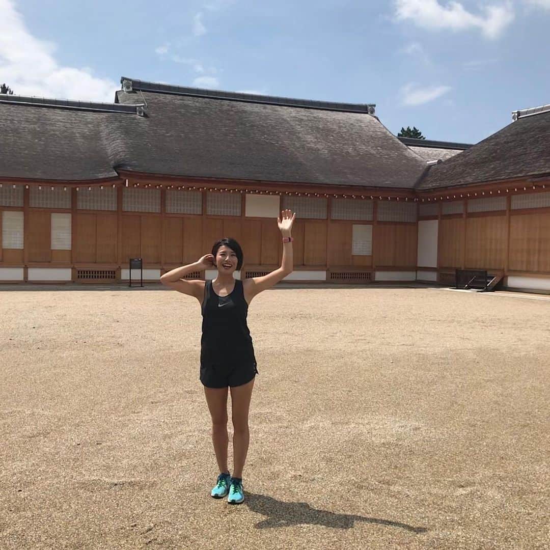 きゃっするひとみーさんのインスタグラム写真 - (きゃっするひとみーInstagram)「#名古屋城 part2🏯 . 名古屋城、今は天守の中に入れないですが、2018年6月に完成公開された復元したての本丸御殿があるのです！！！！！！もうこれは絶対行きたかったので大興奮。 . ここで、わたしも始め思っていた勘違いなのですが。。 . お殿様は、お城の中で生活してると思いません？？実際天守を登ってる時も、ほかの観光客の方々は口々にここで住んでたのかーとか、殿様も毎日登るの大変だねーみたいな。のを耳にします。😊 . しかし！！天守は最終的に籠城することはありましたが、基本的には御殿に住んでました✨✨😊 . 大阪城にももちろんあったのですよ😍名古屋城の復元された本丸御殿が素晴らしすぎて、大阪城の御殿も復元されないかなぁ。。と🤤❤️ . さて、名古屋城の本丸御殿に話は戻りまして。もうね、ほんとに忠実でびっくりします。壁画や飾金具、欄干の透し彫り。二条城の御殿は見にいったことがあったので（二条城は現存）、その記憶と比べても忠実✨✨✨ . 名古屋城、見所満載のお城でした✨😭最後は名古屋ざんまい。笑 ポーズでしめときます。笑 .  #しゃちほこ #鯱鉾 #シャチホコ #名城公園 #名城 #みゃー  #名古屋観光 #きゃっするひとみー #城郭ラン # . #きゃっするのきたおしろ」11月2日 22時03分 - takaxjumppp