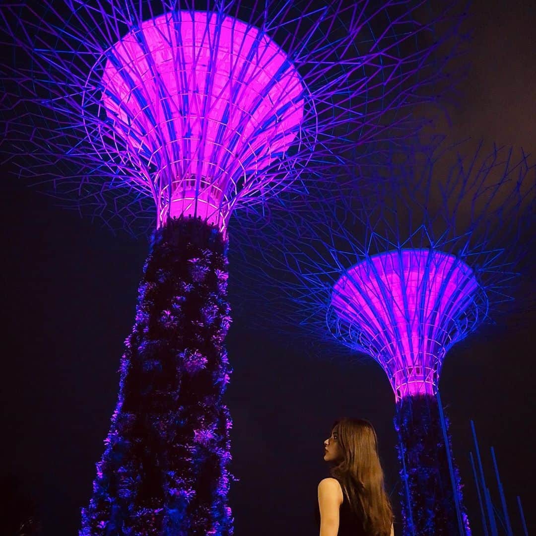 アミンカレダさんのインスタグラム写真 - (アミンカレダInstagram)「Gardens by the Bay🌺﻿ ﻿ シンガポールはご飯にも困らないし﻿ 街中も整備されていて気分が良き💫﻿ ﻿ ※さすがにトレーニングウェアでは﻿ 出歩いてないです。笑﻿ ﻿ #gardensbythebay #singapore」11月2日 22時35分 - khaleda.amin