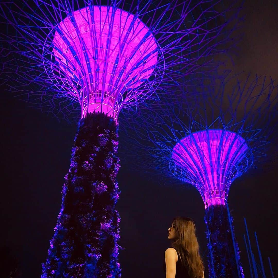 アミンカレダのインスタグラム：「Gardens by the Bay🌺﻿ ﻿ シンガポールはご飯にも困らないし﻿ 街中も整備されていて気分が良き💫﻿ ﻿ ※さすがにトレーニングウェアでは﻿ 出歩いてないです。笑﻿ ﻿ #gardensbythebay #singapore」