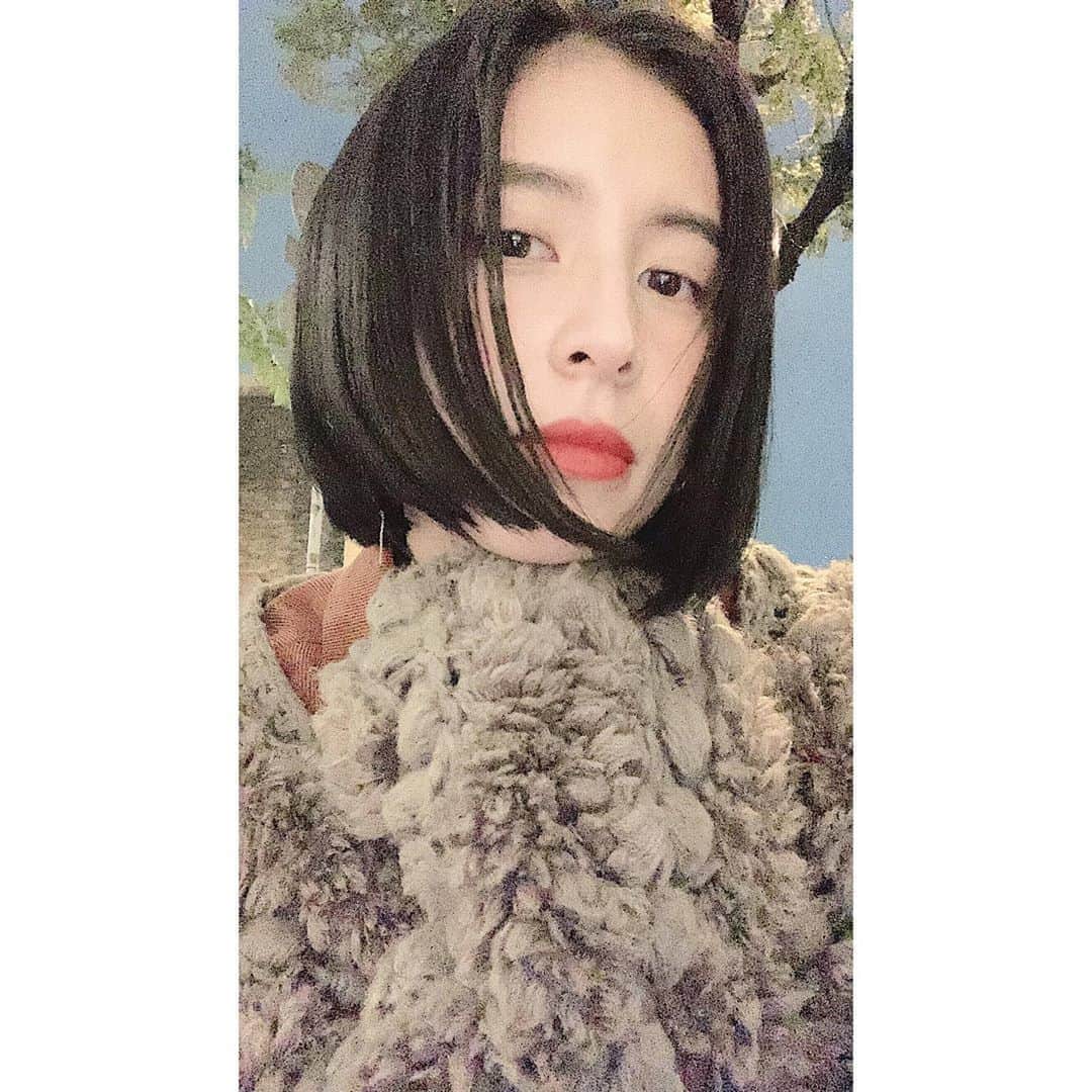 ラブリさんのインスタグラム写真 ラブリinstagram ニューヘアーは暗めにして 短めのボブですしっくりきました 11月2日 23時45分 Loveli Official