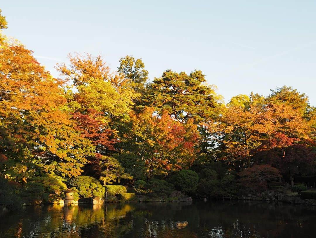 菅原智郁さんのインスタグラム写真 - (菅原智郁Instagram)「山形市 もみじ公園。 ちょっと早かった！見頃は来週頃かな🍁 . . #山形市 #山形 #もみじ公園 #紅葉 #ミラーレス一眼 #olympuspen #秋の東北インスタキャンペーン #行くぜ東北」11月3日 0時04分 - tomotomokaaaa22