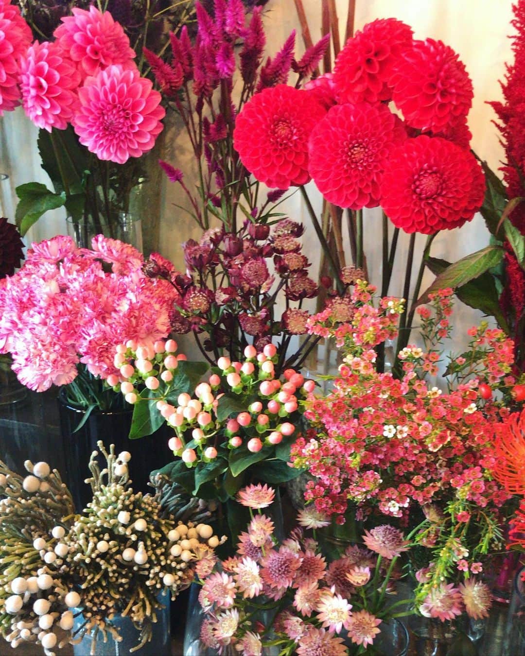 Keikooooooのインスタグラム：「キレイ〜💐 たくさんの綺麗な色のお花は我慢して、葉物だけ🌿 次回はお花を買って帰ろー！！ . #花屋 #rococo #問屋町 #岡山市」