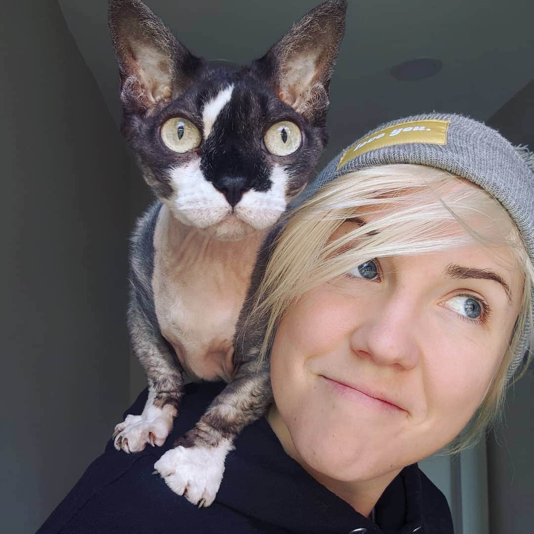 ハナー・ハートのインスタグラム：「Good morning and Happy Birthday to MEEEEE! Charles and I are busy staring boldly into the future. Well, he's busy and I'm just along for the ride. ANYWAY pls consider this a national day of rest and treat yourself to something happy! A happy snack! A new book! A flower! Anything and everything. Just tag me so I can wish you a Happy (my) Birthday too! #scorpio ? #scorpioseason♏️ ? #caturday ?」