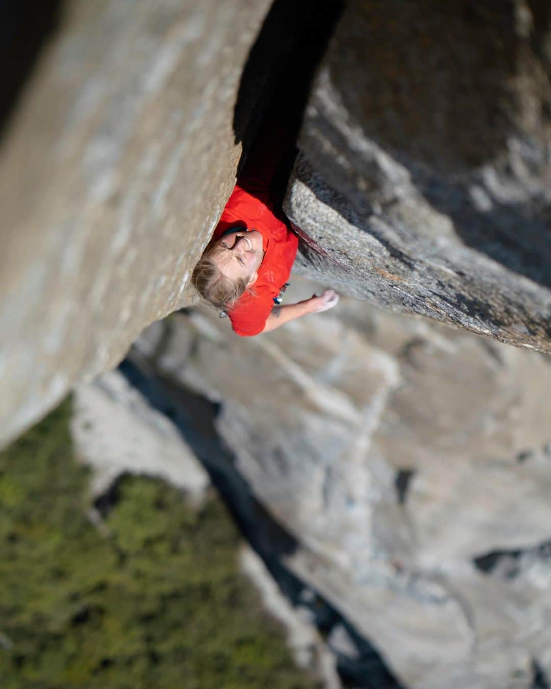 エミリー・ハリントンのインスタグラム：「Progress that feels like climbing an offwidth...is still progress nonetheless.  It’s been slow and steady (and still a bit bloody) over here. El Cap is still like a big scary hairless cat, but I’m starting to appreciate its awkward demeanor a bit more than usual these days (finally). 😸💕 // 📸 @tarakerzhner from this past spring // @thenorthface_climb // @lasportivana // @petzl_official」