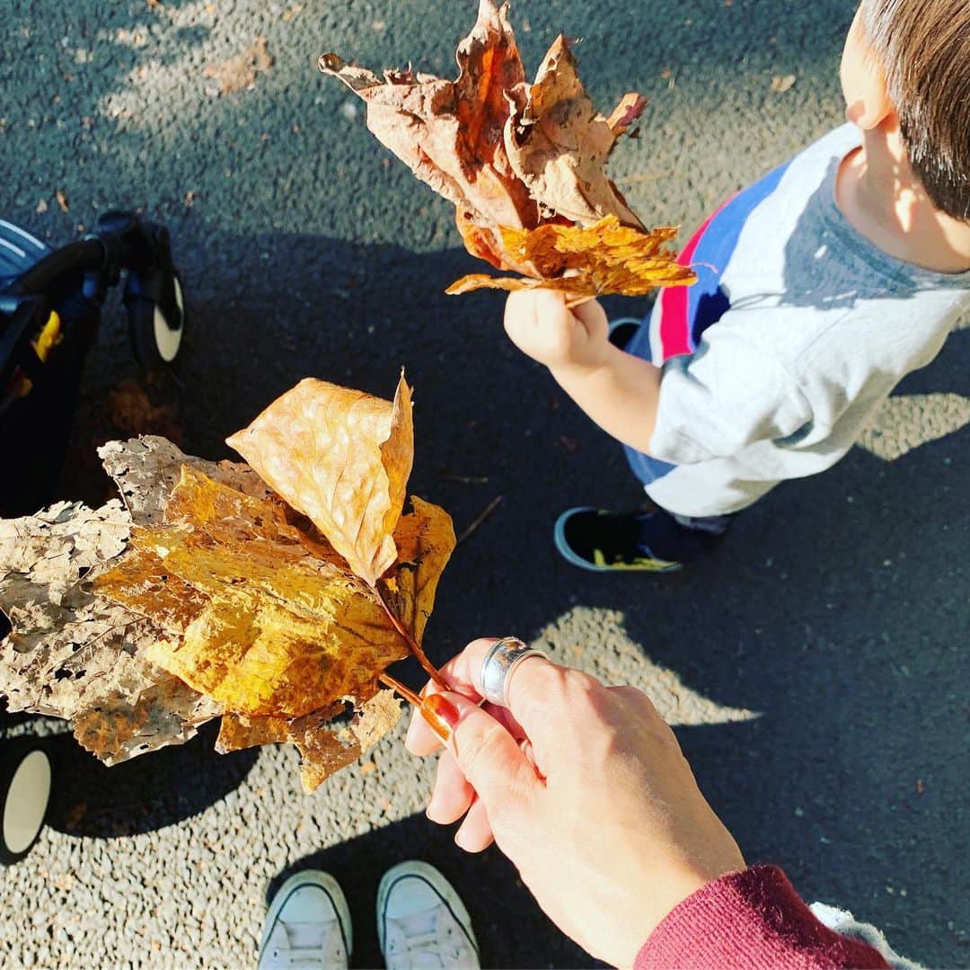安田美沙子さんのインスタグラム写真 - (安田美沙子Instagram)「ニコニコパークに行きました✨ 行く道だけで、たっくさん落ち葉を拾い🍂秋を満喫😊 ママにくれるのだけ、ボロボロな葉っぱ多くない？笑 ロディで何度も転ける姿が最高でした。りかりかと待ち合わせて、おやつを広げて、プチピクニック✨ お姉ちゃんがいると、普段行かない遊具も登れて、逞しくなりました😊 お昼寝してなかったから、帰りはバタンキュー🐥と思いきや、30分で起きた😭こちらも走り回ってぐったりしてるのに。。 恐るべし体力。。ニコニコパークまた行きたいな❤️ . . . #instagood #boy #29months #friends #小さい秋見つけた #帰りはどんぐり拾い #無限の体力 #おばちゃん」11月3日 1時36分 - yasuda_misako