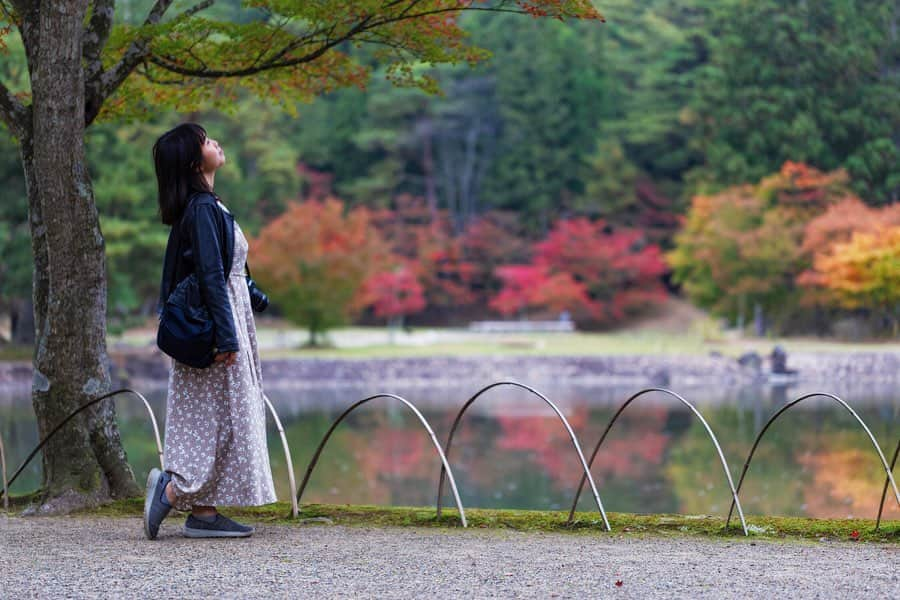 東北女子のインスタグラム：「⠀⠀⠀⠀⠀⠀⠀⠀⠀⠀⠀⠀ 在世界遺產賞楓 Part3 ⠀⠀⠀⠀⠀⠀⠀⠀⠀⠀⠀⠀ 岩手平泉｜#毛越寺 ⠀⠀⠀⠀⠀⠀⠀⠀⠀⠀⠀⠀ 平泉世界遺產中我最愛的毛越寺 有湖的地方景色直接+10分☺️ ⠀⠀⠀⠀⠀⠀⠀⠀⠀⠀⠀⠀⠀⠀⠀⠀⠀⠀⠀⠀⠀⠀⠀⠀ #天台宗別格本山毛越寺 📍交通： 從JR平泉站搭  #平泉るんるんバス 📍參拜費：500円 ⠀⠀⠀⠀⠀⠀⠀⠀⠀⠀ 📸2019.10.29 #東北女子travel #平泉 #世界遺産 #岩手 #世界遺產 #iwate #hiraizumi #賞楓 #楓葉 #日本岩手 #日本世界遺產 #日本寺 #紅葉 #東北旅行 #日本奧州 #岩手縣 #iiiwate  #岩手好好玩 #日本景色 #japan_travel #日本行」