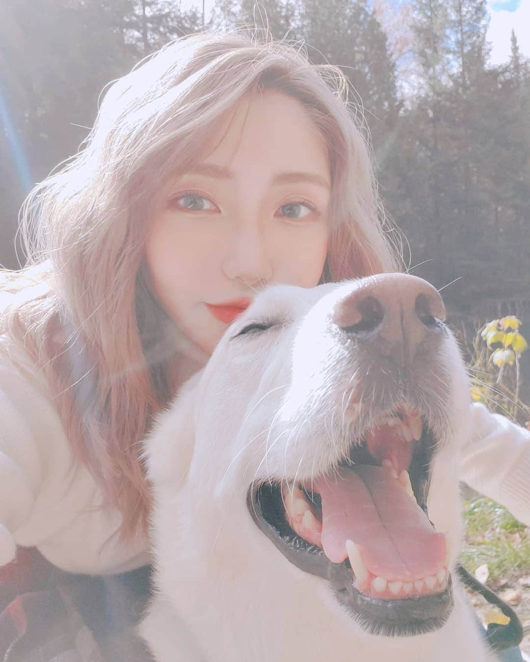 ひかりんのインスタグラム：「Big Smiles with @gudboycharlie 🤗🤗🤗🤗🤗🤗🤗 #doggo #goodboi #snmile」