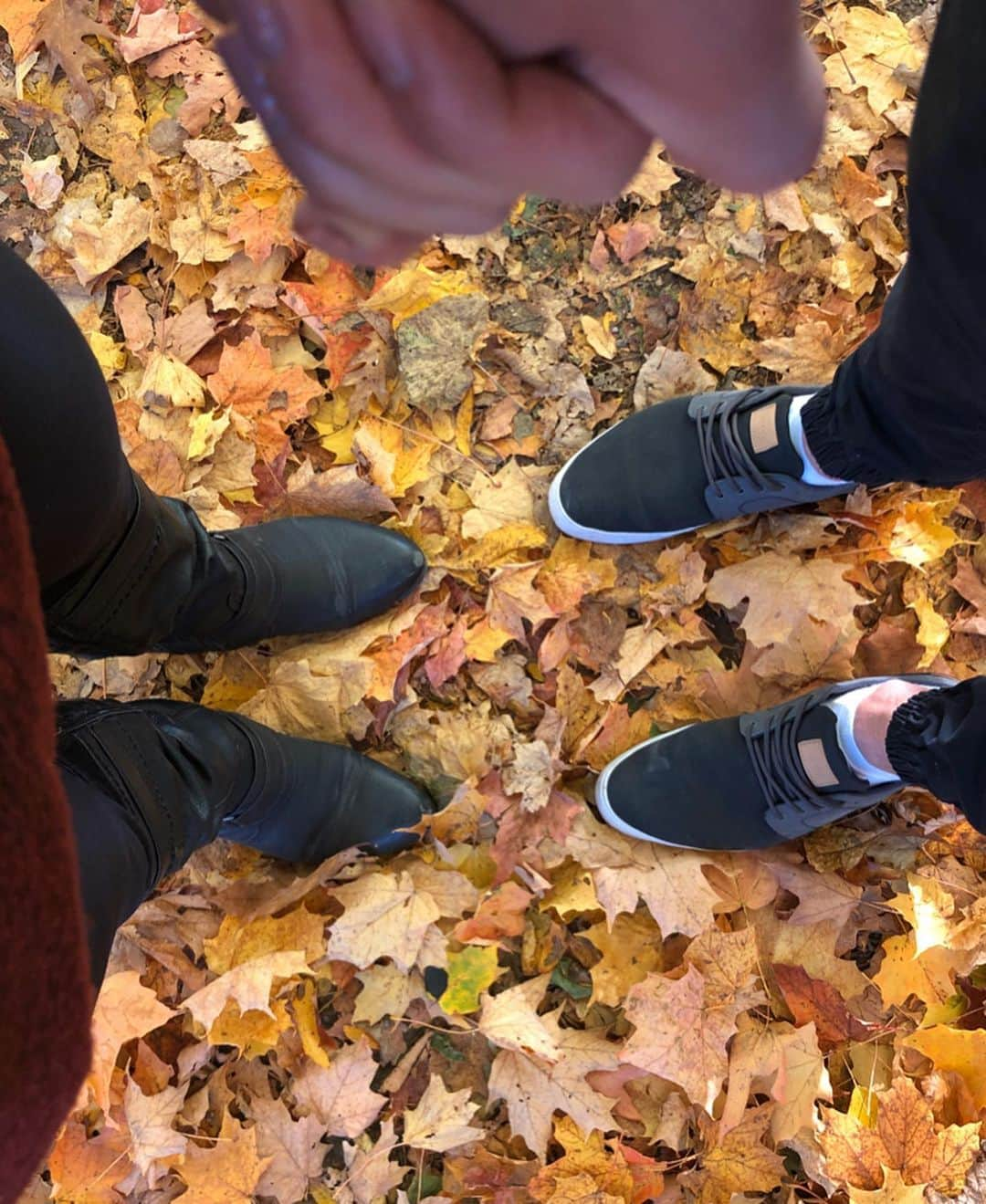 マリッサ・キングさんのインスタグラム写真 - (マリッサ・キングInstagram)「Because the clocks go back tonight here in Canada so let’s appreciate autumn real quick before winter officially arrives 😊🍂 🍁🇨🇦 🍁🍂😊 • • #autumn #fall #beautifulcolours #nature #canada #toronto」11月3日 6時46分 - marissapking