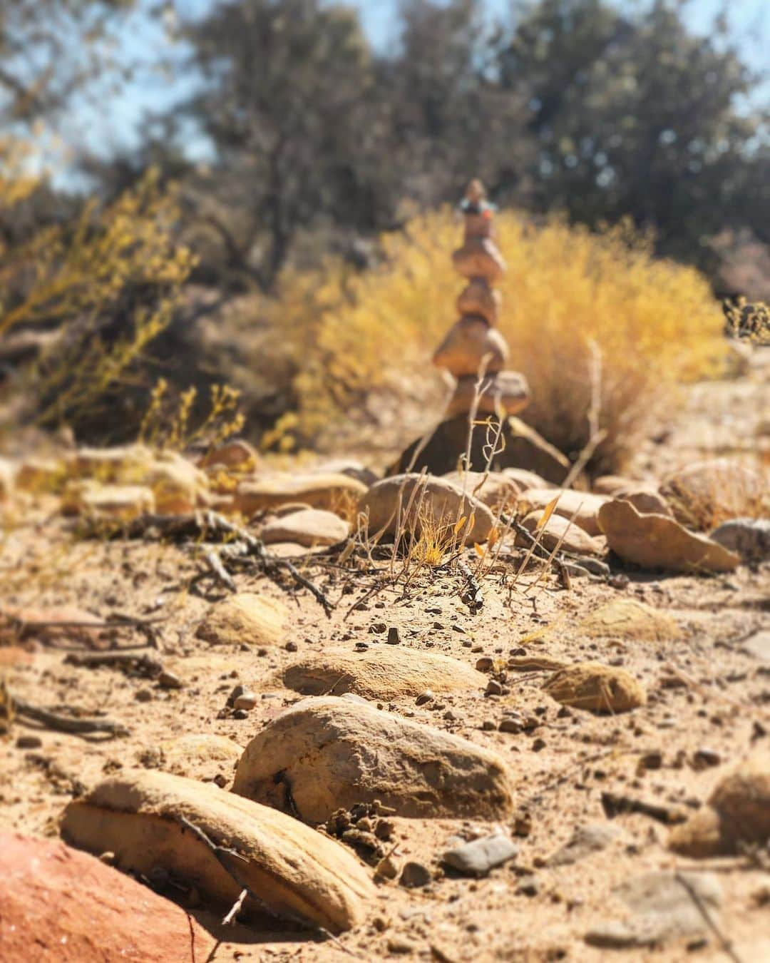 ダニエル・アエンさんのインスタグラム写真 - (ダニエル・アエンInstagram)「I might have found a new hobby ⚖️🧘🏻‍♂️⛰」11月3日 7時07分 - nampaikid