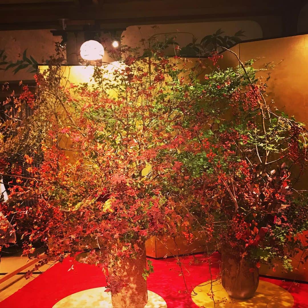 新居昭乃のインスタグラム：「美を堪能。。。目黒雅叙園　いけななx百段階段  https://www.hotelgajoen-tokyo.com/100event/ikebana2019」