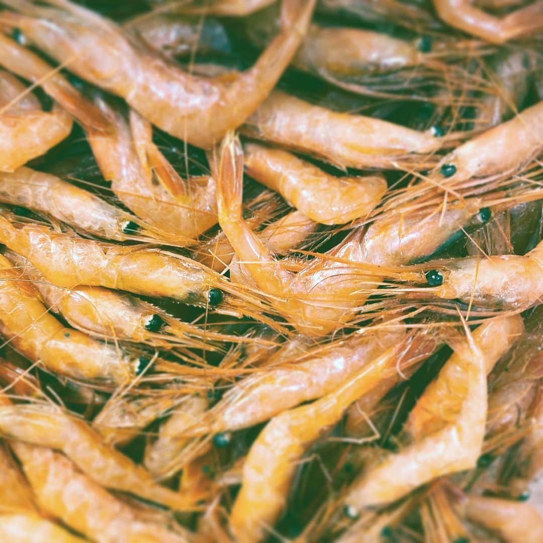 中野敬久さんのインスタグラム写真 - (中野敬久Instagram)「#エビ #近江町市場 #金沢 #shrimp #market #kanazawa」11月3日 9時41分 - hirohisanakano