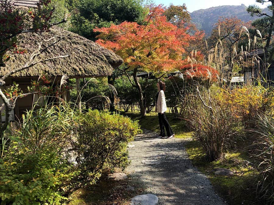 小坂温子のインスタグラム