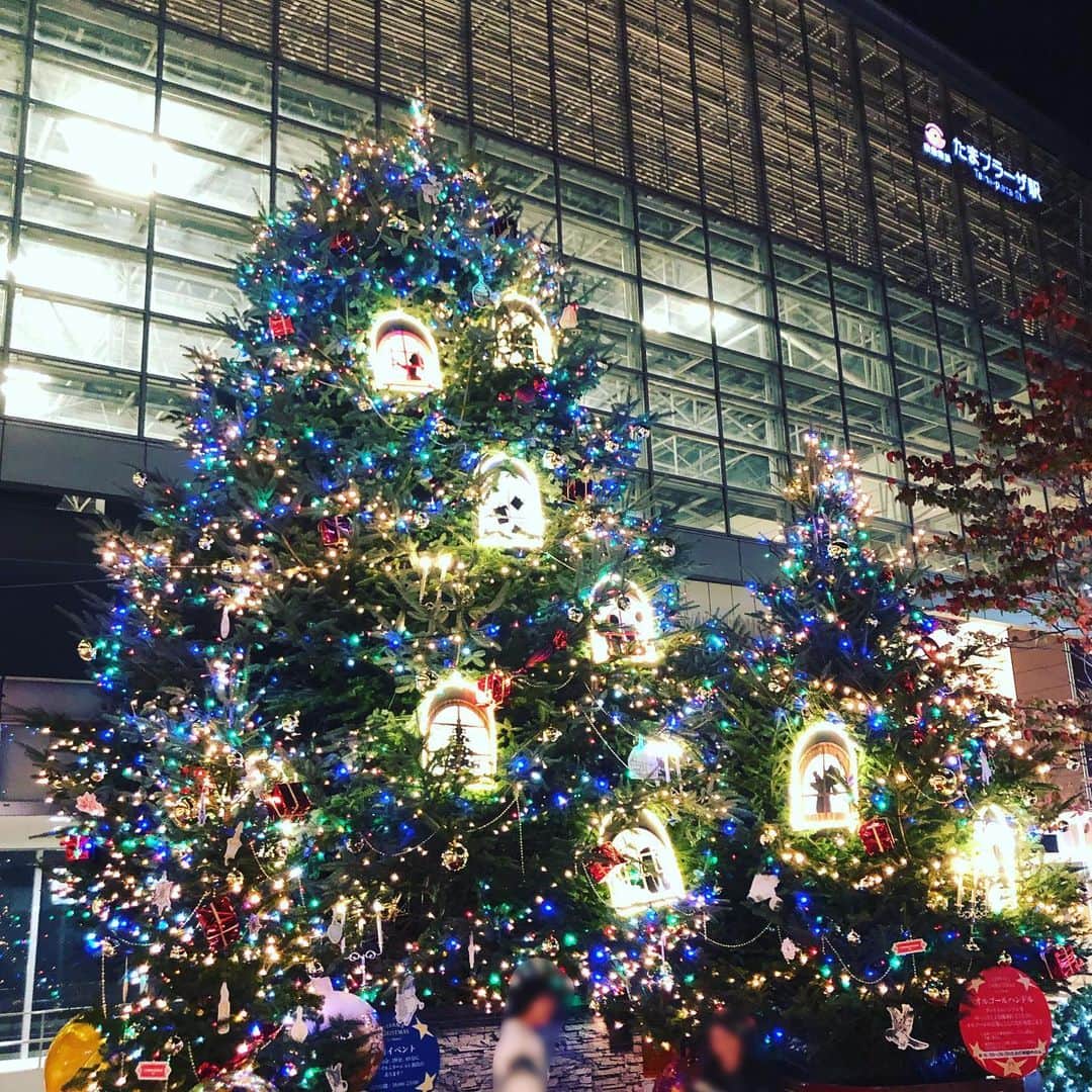 三上市朗のインスタグラム：「たまプラーザの今年のツリー。もうこの季節なんですね。あっと言う間ですよ。本当に。 #たまプラーザ  #クリスマスツリー」