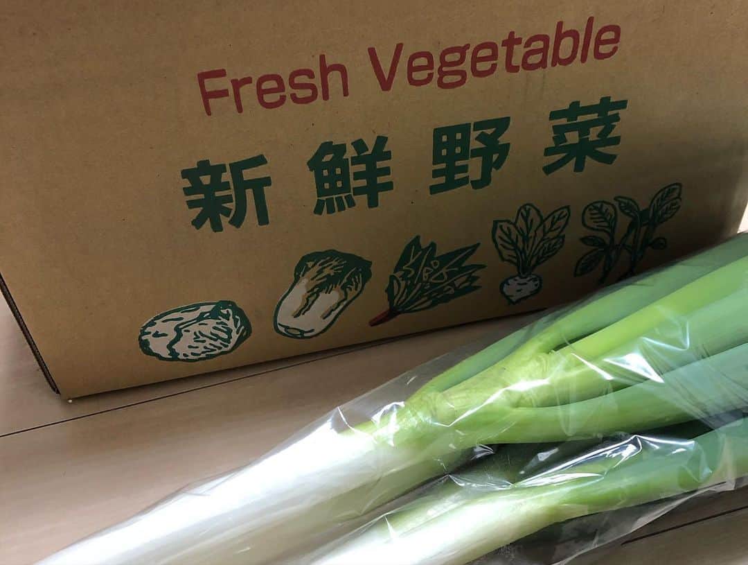 HI-Dさんのインスタグラム写真 - (HI-DInstagram)「@yasai_gorilla から東京都品評会で銀賞を取ったネギと新鮮野菜を分けていただきました。金賞を取れなかったのはとても悔しそうでしたが、とってもとっても立派なネギです。 大事に大事に育てられたお野菜、いただきます。感謝 #vegetables #fresh #西東京産 #ネギ #銀賞 #ブロッコリー #キャベツ #人参 #小金井農園 #nofilter」11月3日 10時50分 - hid_hideo_jp_suomi