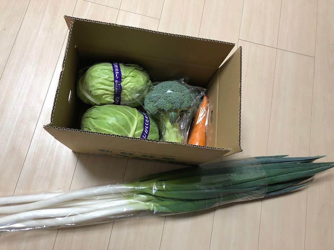 のインスタグラム：「@yasai_gorilla から東京都品評会で銀賞を取ったネギと新鮮野菜を分けていただきました。金賞を取れなかったのはとても悔しそうでしたが、とってもとっても立派なネギです。 大事に大事に育てられたお野菜、いただきます。感謝 #vegetables #fresh #西東京産 #ネギ #銀賞 #ブロッコリー #キャベツ #人参 #小金井農園 #nofilter」