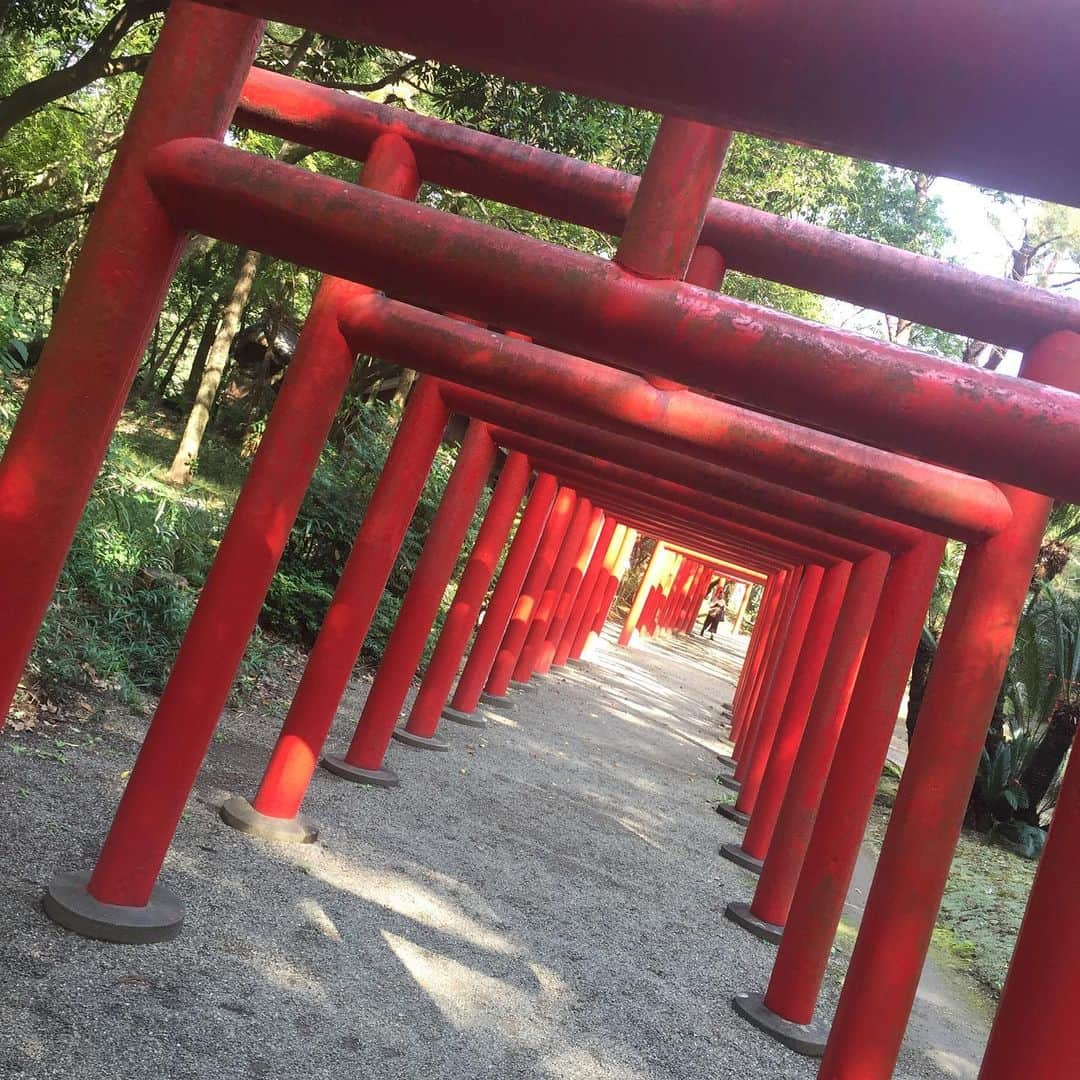 Man With A Missionさんのインスタグラム写真 - (Man With A MissionInstagram)「日本初代ノ天皇 神武天皇ヲ祀ル宮崎神社  Miyazaki Shrine  Enshrines and worships the very first emperor of Japan.  #miyazaki #miyazakijingu」11月3日 11時39分 - mwamofficial