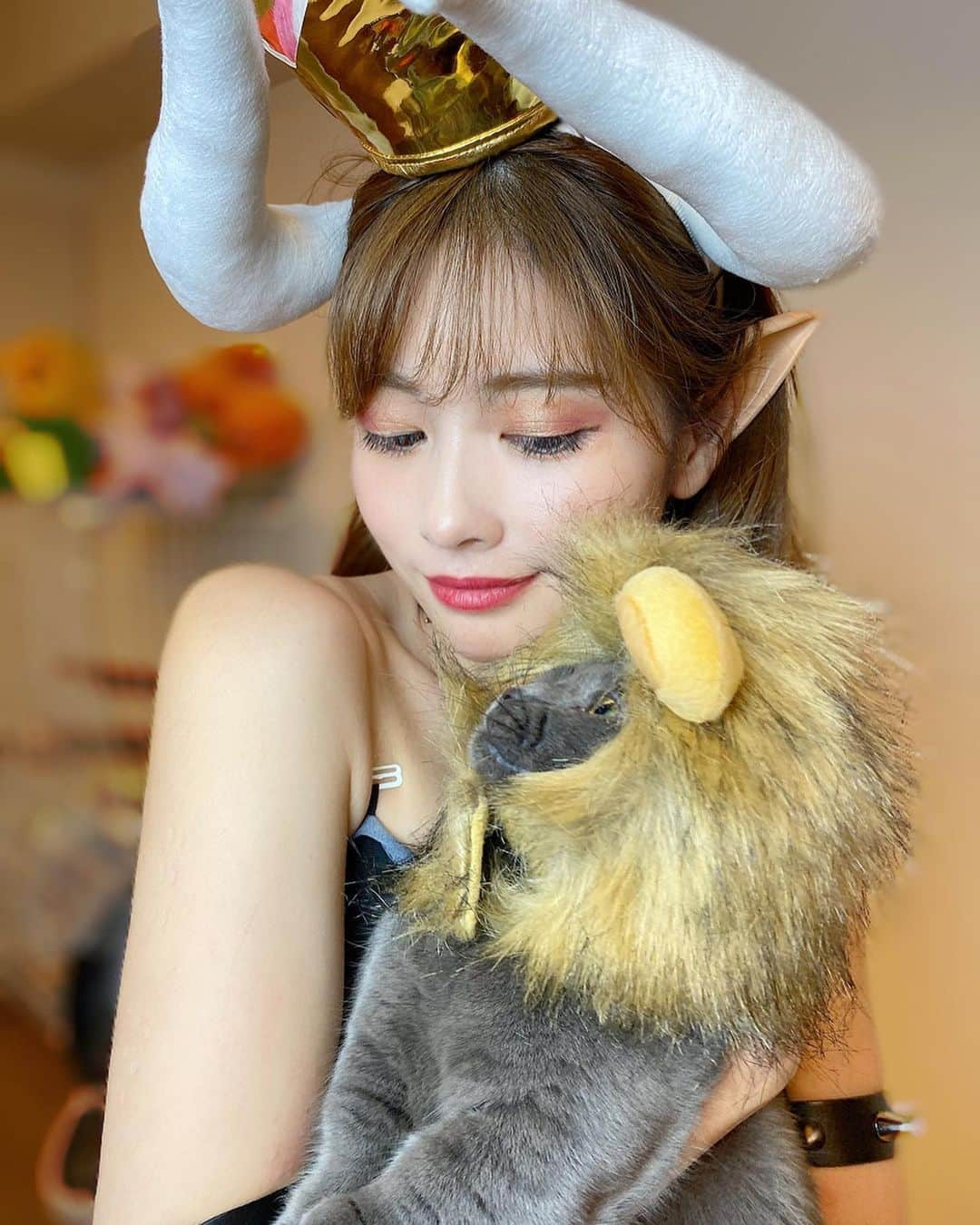 得あゆさんのインスタグラム写真 - (得あゆInstagram)「シンバはシンバのコスプレ🦁🐈 思ったよりライオンの毛が多くて埋まってる可愛い😍笑 ・ ・ ・ ・ ・ ・ ・ ・ ・ #クッパ姫#クッパ#マリオ#マリオカート#bowser#mario#mariokart#ハロウィン#ハロウィン仮装#ハロウィンコスプレ#コスプレ#仮装#ハロウィンパーティー#パーティー#ライオンキング#ライオン#インスタグラビア#衣装#インスタ映え#カメラ女子#写真#猫#ねこすたぐらむ#ねこと暮らす#マンチカン#halloween#halloweencostume#halloweenmakeup#halloweenparty#costume」11月3日 11時46分 - tokuayu819