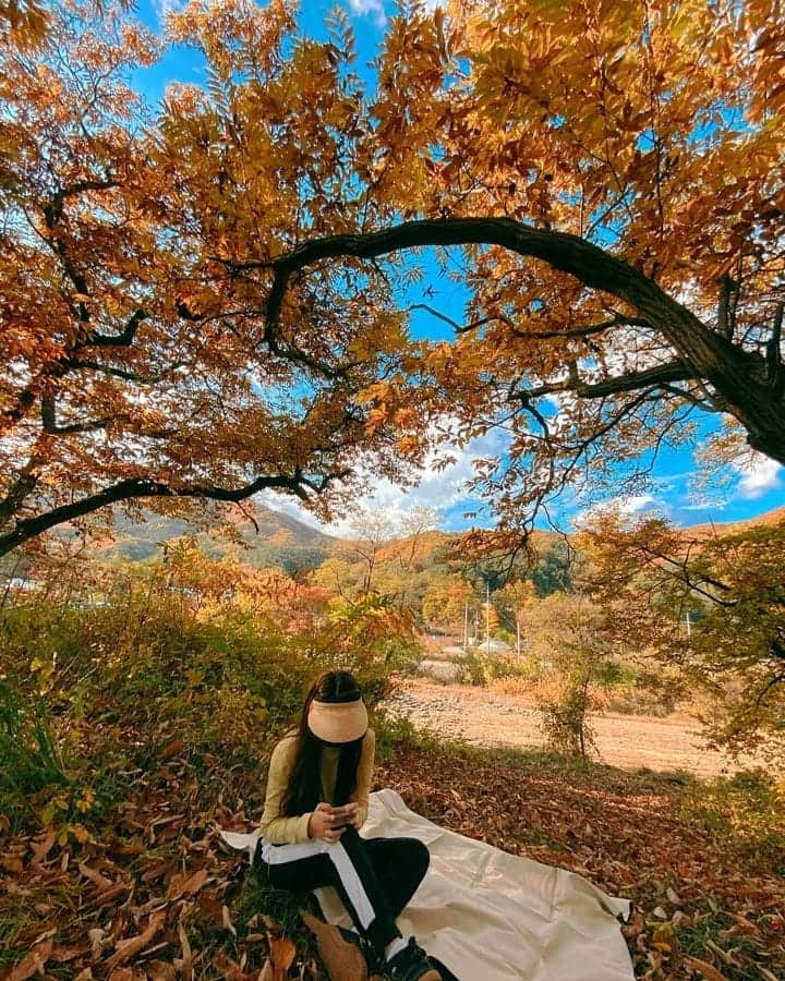 suna（ソナ）さんのインスタグラム写真 - (suna（ソナ）Instagram)「가을 브이로그 ASMR 찍을 장소 탐색하고 게장 냠냠😋 Photo by 🍞」11月3日 21時36分 - ggulggulsuna