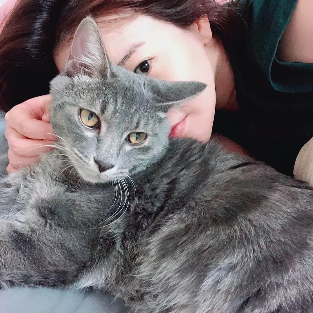 サニー のインスタグラム：「후추야 표정이 왜그르니.... 벌써 사춘기니?!........ #건강하게만자라랬더니 #투머치건강..... #아들반항좀고마해 #그래도사랑한다」