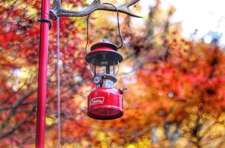 hinata_outdoorさんのインスタグラム写真 - (hinata_outdoorInstagram)「@mareblu8さんのpic✨⠀⠀⠀ ﻿ ﻿ 紅葉をバック﻿に赤色ギアを撮影するとより素敵な写真に🍁 背景をぼかして撮るのがコツみたいです☺️✨ ﻿ ～赤色キャンプ特集～⠀﻿ ｢赤色｣にフォーカスして、素敵なキャンプギアやレイアウトなどをご紹介していきます⛺️ ⠀ ⠀⠀⠀⠀⠀ ⠀⠀⠀﻿ 🎃🌲🌳🌲🎃🌲🌳🌲🌳🎃🌲🌳🌳⠀﻿ ⠀﻿ ｢ハロウィンキャンペーン｣⭐️投稿募集中⭐️⠀﻿ #hinata_outdoor #私のハロウィンキャンプ ⠀﻿ の2つをつけて投稿してください♪⠀﻿ 期限は11/4(月)まで！選ばれた画像は、hinataの記事 & 公式インスタグラムにてご紹介します！⠀﻿ ⠀⠀⠀⠀⠀⠀⠀⠀⠀⠀⠀⠀﻿ 🌳🌲🎃🌳🌲🌲🌳🎃🌲🌳🌲🎃🌳⠀﻿ ⠀⠀⠀⠀⠀⠀⠀⠀⠀⠀⠀⠀﻿ 🚙キャンプや山登りのアウトドア情報はプロフィールのURLから ➡ @hinata_outdoor⠀⠀⠀⠀⠀⠀⠀⠀⠀⠀⠀⠀﻿ ⠀⠀⠀⠀⠀⠀⠀⠀⠀⠀⠀⠀﻿ 🍖美味しそうなキャンプ料理の写真は➡️⠀⠀⠀⠀⠀⠀⠀⠀⠀⠀⠀⠀﻿ @hinata_gohan⠀⠀⠀⠀⠀⠀⠀⠀⠀⠀⠀⠀⠀⠀⠀⠀﻿ ⠀⠀⠀⠀⠀⠀⠀⠀⠀⠀﻿ #キャンプ #アウトドア #キャンプギア #アウトドアギア #キャンプ道具 #キャンプ場 #秋キャンプ #ファミリーキャンプ #キャンプインテリア #キッチンテーブル #キャンプ部 #ファミキャン #キャンプ初心者 #キャンプコーデ #キャンプ女子 #コールマン #ランタン #赤色 #赤 #赤色キャンプ #紅葉キャンプ #紅葉 #赤キャンプ #もみじ #camp #outdoor  #hinataoutdoor」11月3日 21時39分 - hinata_outdoor
