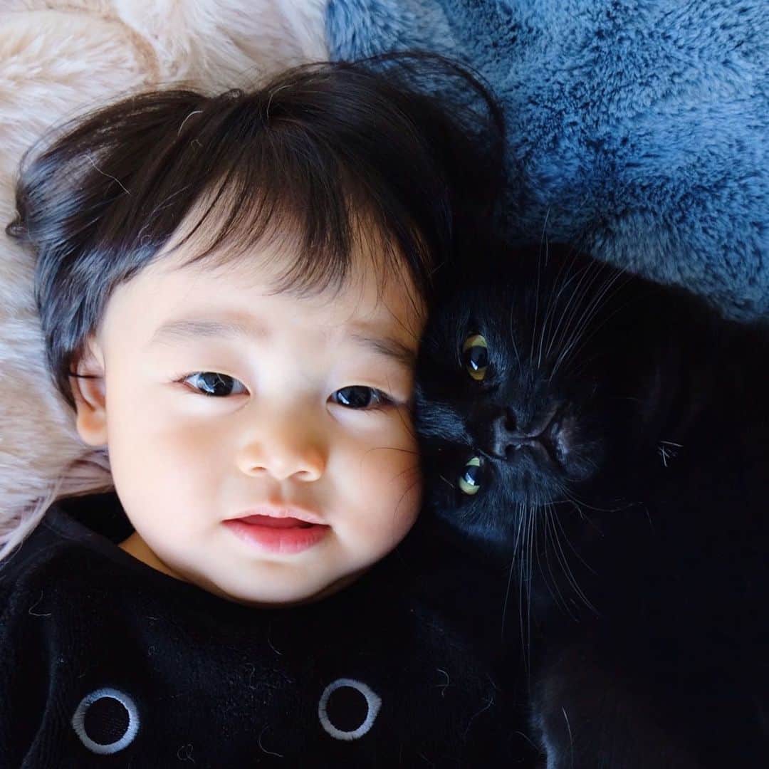 ベビーギネスのレシピ