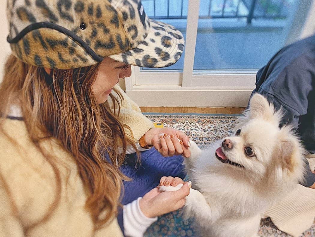 Tattyのインスタグラム：「mokoちゃんの可愛さったらもう…とろける。(口舐めてくるけど😂)あー可愛い。この写真もmokoちゃんの顔ズームしてずっと見てる(笑)可愛い。可愛い。yuki写真撮ってくれてありがとう😂🙏💕」