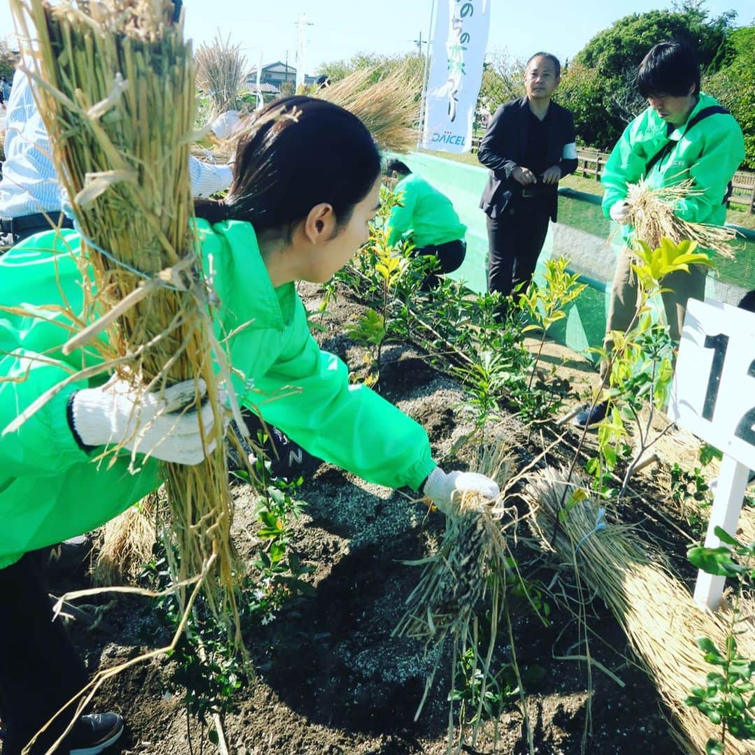 岡西佑奈さんのインスタグラム写真 - (岡西佑奈Instagram)「ダイセル様100周年記念式典で 揮毫させていただきました。  ダイセルカラーの青色の上に 未来への思いをちらし描き その上に“創彩”と描かせていただきました。  さらに今回のメインイベントである“植樹祭”。 「いのちの森」と提言した地球規模での環境問題に取り組む姿勢や災害に対する備えに取り組まれる心構えに感銘を受け、私自身も未来へと繋ぐ命に向けて心を込めて参加をさせていただきました。  社員の皆様でひとつひとつ創りあげ、その思いが形となることを目の前にし、改めて人として第一に大切なことを目の当たりにしました。  素晴らしい経験に心から感謝です。  #ダイセル#100周年 #calligraphy#yuunaokanishi#livepainting#書道パフォーマンス#書道#書道家#岡西佑奈#書道家岡西佑奈」11月3日 22時23分 - yuunaokanishi