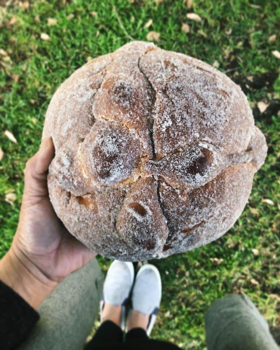 Antonietteのインスタグラム：「Celebrated Día de los Muertos 💀 💐 with some traditional sweet bread from @pragerbrothers . This pan de muerto was pan de-liciois! Soft, fluffy and warm with hints of orange and anise. For a limited time only but there are lots of other delicious baked goods to try out. The buttery shortbread with flecks of salt is exceptional. 😋👌🏽#diadelosmuertos」