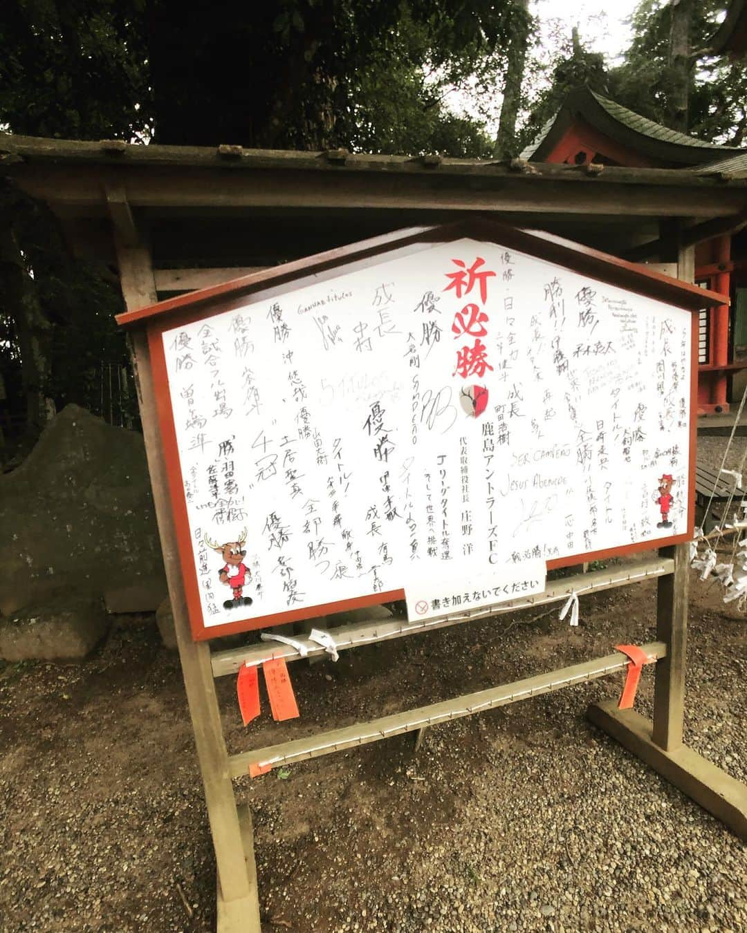 SHOCK EYEさんのインスタグラム写真 - (SHOCK EYEInstagram)「２度目の鹿島神宮⛩ やっぱりこの森はすごい👏👏👏 入り口の立て札に、太古から変わらずに生きてる森には、フィトンチッドっていう体を浄化したり癒したりする化学物質が木々からででる、みたいな事が書かれていて、本当に木々の香りが心や体を癒していくのがわかる✨ 森林浴だね👍 大きく深呼吸しながら、進んでいった奥宮や要石、途中春日大社ともゆかりのある鹿がいたり、とにかく個人的にとても好きな場所。 神話最強の武神、建御雷神（たけみかづち）が祀られていることもあって、鹿島アントラーズの必勝祈願の札があったり、、見所満載だよ😊 あと、東国三社参りする人は、三個の御朱印をもらうともらえる記念品や、三社全部いくと完成する御守りとか、楽しみながら参拝してみたらどうかな？^_^ ちなみに最後に回った場所でもらえる記念品が違うらしい😁✨ #鹿島神宮 #東国三社 #必勝祈願 #神社 #神社ガイド #森 #天然記念物 #森林浴 #茨城県 #運気アップ #パワースポット #御守り :  My second time at Kashima Jingu.  This forest is amazing and lives from ancient times. The Phytoncide exist in this forest which are antimicrobial allelochrmic valatile organic compounds derived from plants. And I can feel the aroma of this forest heals our body and soul.  This is exactly therapeutic walk in a forest.  I really like this place, as you take a nice deep breath and walking forward, you will see the rear shrine, the Spirit Rock, deers which are related to Kasuga Grand Shrine.  This shrine is dedicated to Takemikazuchi, Shinto god, who is the strongest god of war in Japanese myth.  There is a prayer for victory of Kashima Antlers , Japanese professional football club. So many spots to see in this shrine. When you visit all Togoku Sansha ( three main shrines in Kanto area) , you can collect their red ink official stamps in each three shrines and you will get an souvenir.  Also there is a charm from each three shrines and if you get all three, it completes as one charm. You can enjoy visiting them all three.  The souvenir you can get is different in each shrines.  #kashimajingu #togokusansha #prayforvictory #shrine #shrineguide #forest #naturaltreasures #forestbathing  #ibarakiprefecture #ibaraki #goodluck #fortune #powerspot #sacredplace #positiveenergey #energy #positivevibes  #charm」11月3日 14時22分 - shockeye_official