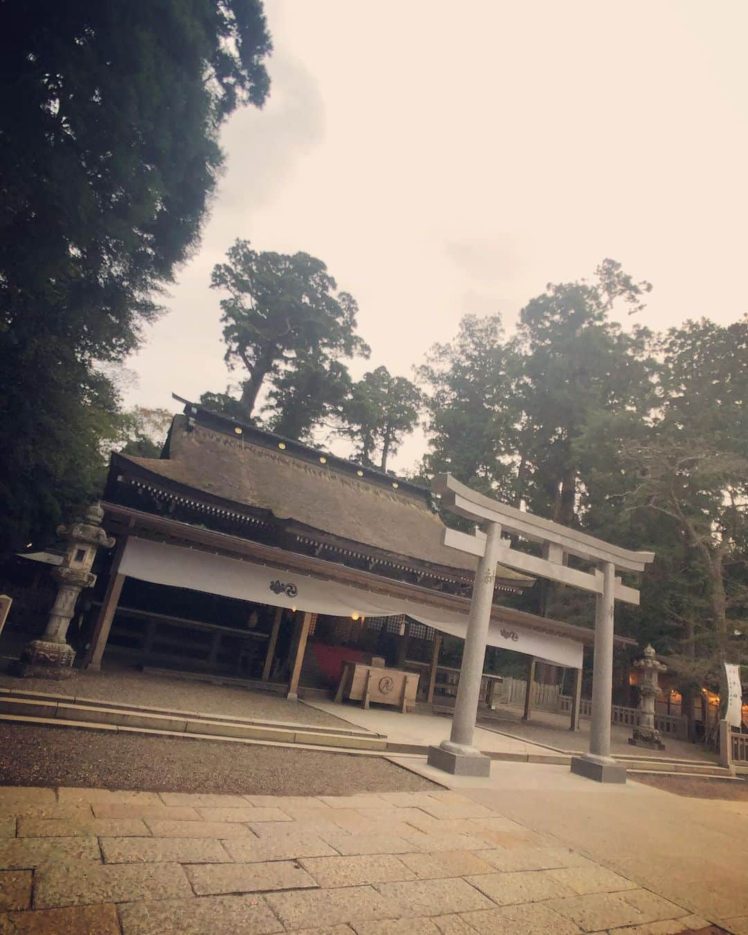 SHOCK EYEさんのインスタグラム写真 - (SHOCK EYEInstagram)「２度目の鹿島神宮⛩ やっぱりこの森はすごい👏👏👏 入り口の立て札に、太古から変わらずに生きてる森には、フィトンチッドっていう体を浄化したり癒したりする化学物質が木々からででる、みたいな事が書かれていて、本当に木々の香りが心や体を癒していくのがわかる✨ 森林浴だね👍 大きく深呼吸しながら、進んでいった奥宮や要石、途中春日大社ともゆかりのある鹿がいたり、とにかく個人的にとても好きな場所。 神話最強の武神、建御雷神（たけみかづち）が祀られていることもあって、鹿島アントラーズの必勝祈願の札があったり、、見所満載だよ😊 あと、東国三社参りする人は、三個の御朱印をもらうともらえる記念品や、三社全部いくと完成する御守りとか、楽しみながら参拝してみたらどうかな？^_^ ちなみに最後に回った場所でもらえる記念品が違うらしい😁✨ #鹿島神宮 #東国三社 #必勝祈願 #神社 #神社ガイド #森 #天然記念物 #森林浴 #茨城県 #運気アップ #パワースポット #御守り :  My second time at Kashima Jingu.  This forest is amazing and lives from ancient times. The Phytoncide exist in this forest which are antimicrobial allelochrmic valatile organic compounds derived from plants. And I can feel the aroma of this forest heals our body and soul.  This is exactly therapeutic walk in a forest.  I really like this place, as you take a nice deep breath and walking forward, you will see the rear shrine, the Spirit Rock, deers which are related to Kasuga Grand Shrine.  This shrine is dedicated to Takemikazuchi, Shinto god, who is the strongest god of war in Japanese myth.  There is a prayer for victory of Kashima Antlers , Japanese professional football club. So many spots to see in this shrine. When you visit all Togoku Sansha ( three main shrines in Kanto area) , you can collect their red ink official stamps in each three shrines and you will get an souvenir.  Also there is a charm from each three shrines and if you get all three, it completes as one charm. You can enjoy visiting them all three.  The souvenir you can get is different in each shrines.  #kashimajingu #togokusansha #prayforvictory #shrine #shrineguide #forest #naturaltreasures #forestbathing  #ibarakiprefecture #ibaraki #goodluck #fortune #powerspot #sacredplace #positiveenergey #energy #positivevibes  #charm」11月3日 14時22分 - shockeye_official