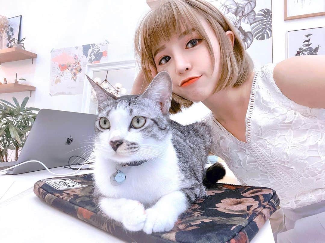 Miko Wongさんのインスタグラム写真 - (Miko WongInstagram)「请问要如何收买猫心？🤔🤔🤔🐱」11月3日 15時13分 - mikowong