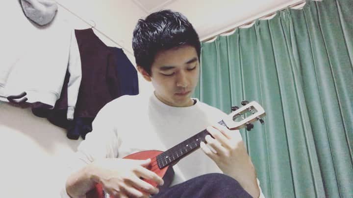 のインスタグラム：「Elvis Costello-She  #ウクレレ #ソロウクレレ #ukulele #ノッティングヒルの恋人 #いい映画ですよね #ジュリアロバーツ綺麗だし #ジュリアロバーツかわいいし #ジュリアロバーツって名前かっこいい」