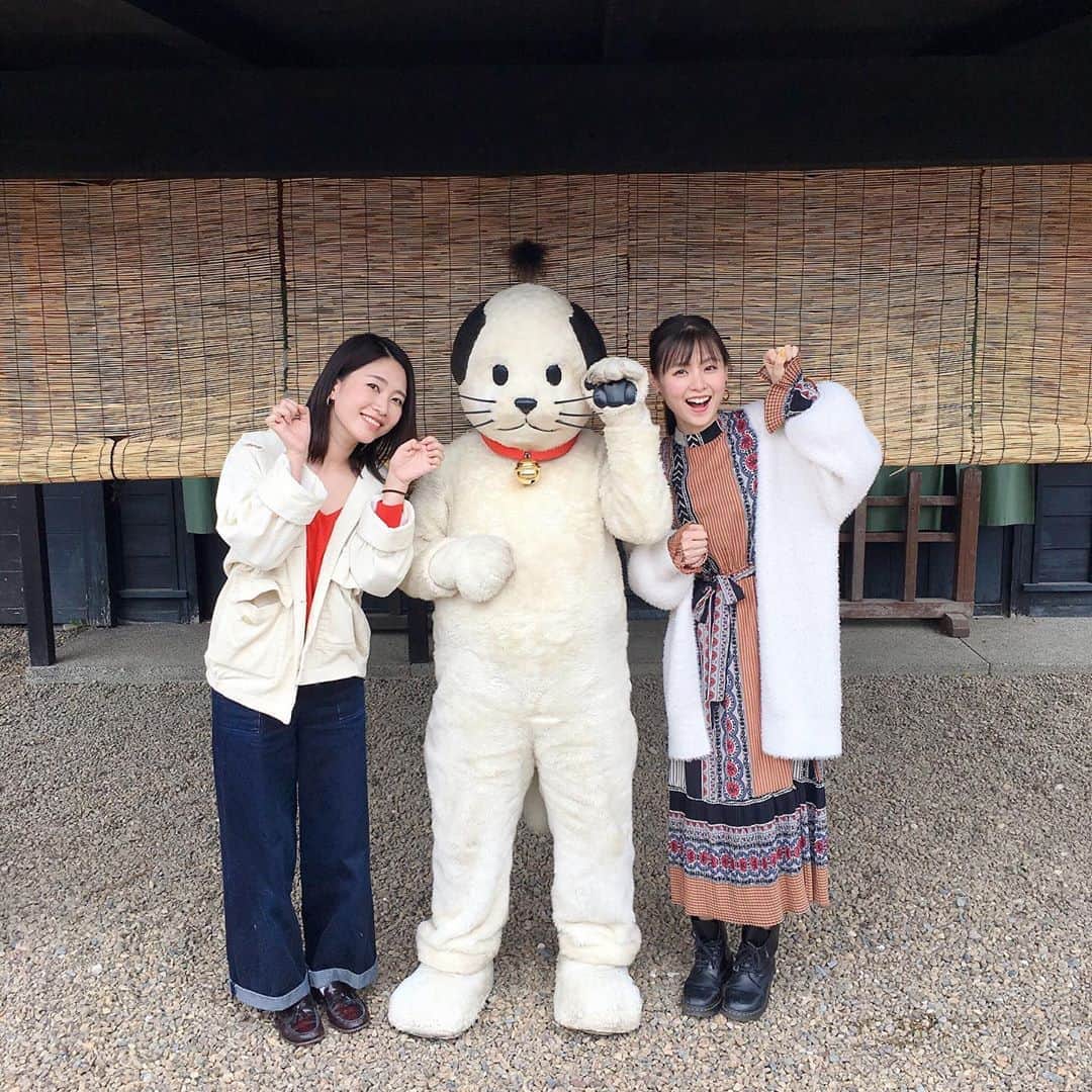 朝見心のインスタグラム：「(∵) にゃんまげに飛びつこう  にゃんまげに飛びつこう  にゃんまげににゃんまげににゃんまげににゃんまげに 飛  び  つ  こ  う」