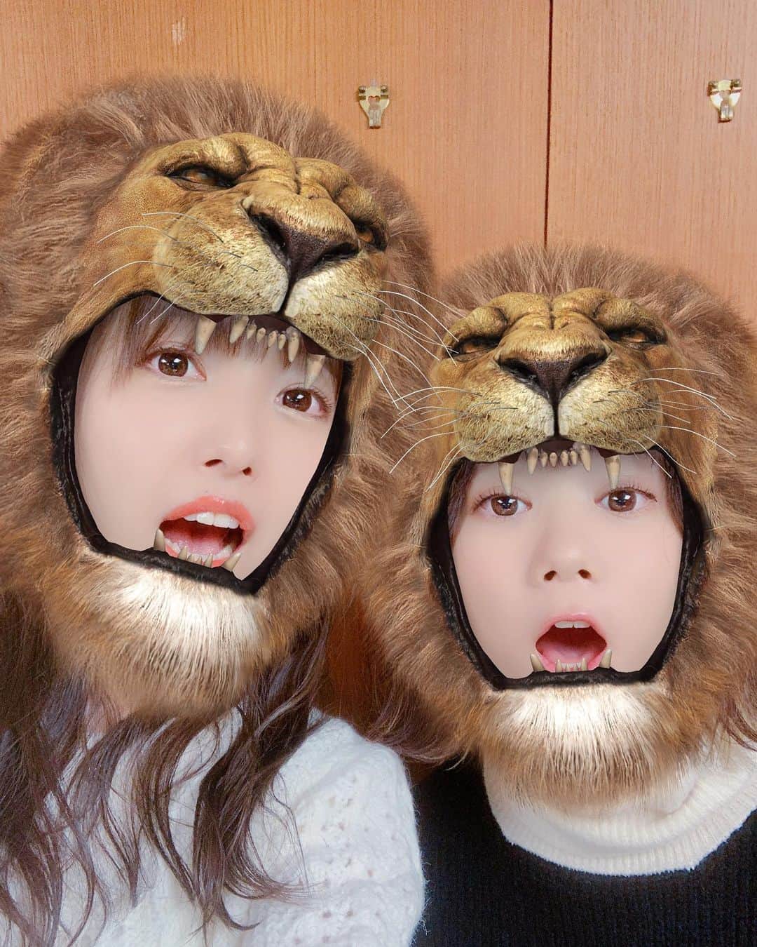 長久友紀さんのインスタグラム写真 - (長久友紀Instagram)「ももすけと「#ライオン」歌ったよ！ の写真♡ #がおー」11月3日 17時26分 - nagakuyuki