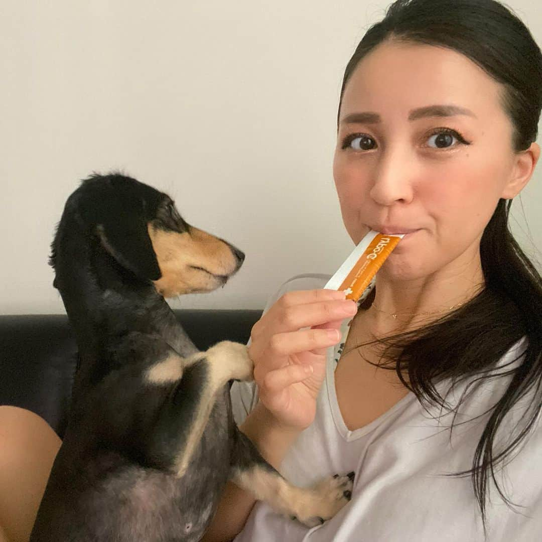 来栖あつこさんのインスタグラム写真 - (来栖あつこInstagram)「美白って内側からと外側、多角的にアプローチしないとアカン。﻿ そんな話を聞いて『じゃ、結局なにがいーわけ？』って思ってたんだが。﻿ ﻿ ﻿ 結論。﻿ 「内と外からビタミンCでカラダを満たしてあげるのが良いに違いない🙄💭💭💭」﻿ という説に行き着いた。﻿ ﻿ ﻿ よく覗いていたSNSの美容アカウントのお姉様方がこぞって溺愛アイテムとしてUPしていたコレを見て『そんなにいーのん？』と疑心暗鬼のままポチり♡﻿ ﻿ 美しい人には、美しい理由と努力（探究心）があると信じているから、このだいぶ鈍感なアンテナにでもビジビシきたリポカプセルはきっと凄いに違いない✨﻿ ﻿ ﻿ 最近の私の口癖は、﻿ 『とりあえず、1ヵ月続けてみるか🙄💭💭💭』﻿ ﻿ 気になったものは、1ヵ月続けてみて「お、いいかも🙄」って感じたら延長戦に突入する事にしている。﻿ ﻿ ﻿ 使い出しから程なくしてこのリポカプセルを飲み出したのをストーリーにUPしたら、病院関係でお仕事をしているこれまた美人な友人が「あっちゃんもリポＣ飲んでるんだねー」って連絡をくれまして。﻿ 私の中での“美人、リポＣ率高め”の定説が確立したというわけ。﻿ ﻿ 以来、毎朝空きっ腹に一包（効き目を体感したい方は3包飲みがいいらしいですが、お小遣いから捻出するので私は1包😅）飲んでおります。﻿ ﻿ ぶっちゃけ…﻿ ぶっちゃけね。﻿ 美味しいもんではない（笑）﻿ ビタミンCって聞いたら「レモン的な味ちゃうの？」と思うだろ？！﻿ …塩っぽい味だから！﻿ にがりみたいな味だから！﻿ ﻿ 近日、YouTubeにモーニングルーティンをUPするべく、このリポＣを飲んでるカットもありますが、「うぉー🤢！」って顔してるからね（笑）﻿ 毎朝そんな顔になってまで飲むサプリ、ガチ以外のなにものでもなかろう。﻿ ﻿ ﻿ ﻿ 1ヵ月後の私の肌よ、答え、楽しみにしてるからね🤓﻿ ﻿ ﻿ ﻿ ﻿ ﻿ ﻿ ⚠️PRではございません。いや、むしろアンバサダーとかあるなら立候補したいレベル🤣﻿ ﻿ #美白　#ビタミンC ﻿ #リポカプセル　#リポカプセルビタミン﻿ #美白ケア　#スキンケア﻿ #インナーケア　#スキンケア #化粧品　#cosme #肌ケア﻿ #美容好き　#美容 #インナービューティ﻿ #atsukokurusu ﻿ #リス顔 #猫顔 #たぬき顔 ﻿ #来栖あつこ #アヒル口﻿ 一年中 #紫外線対策﻿」11月3日 17時31分 - atsukokurusu