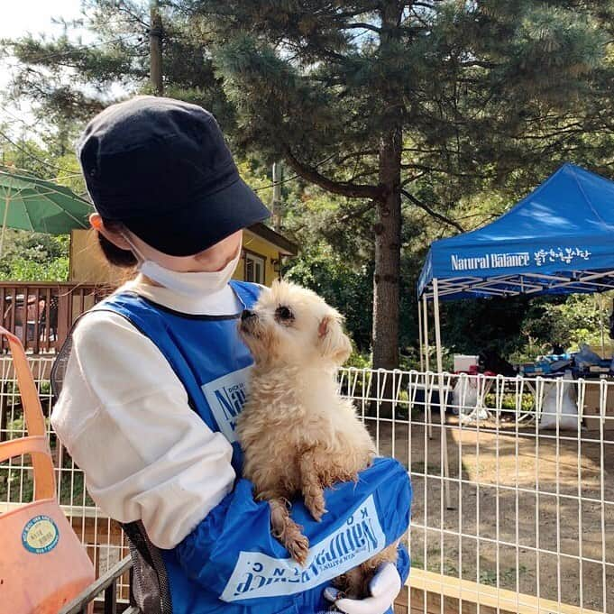 ガヨン さんのインスタグラム写真 - (ガヨン Instagram)「계속 안아달라고 오던 아이.. 그래서 더 눈에 밟혔던 아이..ㅠㅠ 여기 작은 아이들은 대부분 번식장에서 구조된 아이들이라고 해요.. 작은 몸으로 그동안 얼마나 고생이 많았을지.. 아이들에게 좋은 가족이 생겼으면 좋겠어요🙏🏻 언니가 얼른 또 갈게, 그때까지 건강해줘💙 / / #블루엔젤봉사단 #레인보우쉼터 #유기동물입양캠페인 #코리안독스보호소 #네츄럴발란스」11月3日 19時09分 - gy._.1202