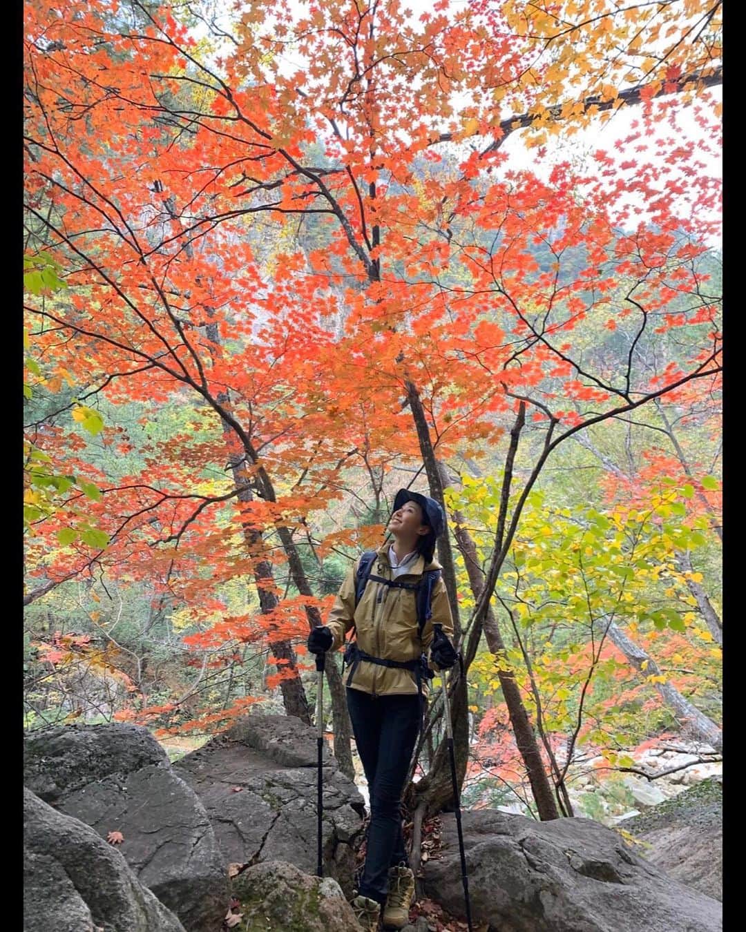 ユリ さんのインスタグラム写真 - (ユリ Instagram)「잘 지내요?  벌써 11월이네요 단풍이 참 예뻐요 🍁 ⠀ ⠀ ⠀⠀ ⠀#내가마니만두해」11月3日 19時40分 - yulyulk