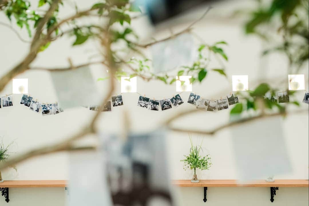 メゾン エルミタージュのグルメインスタ