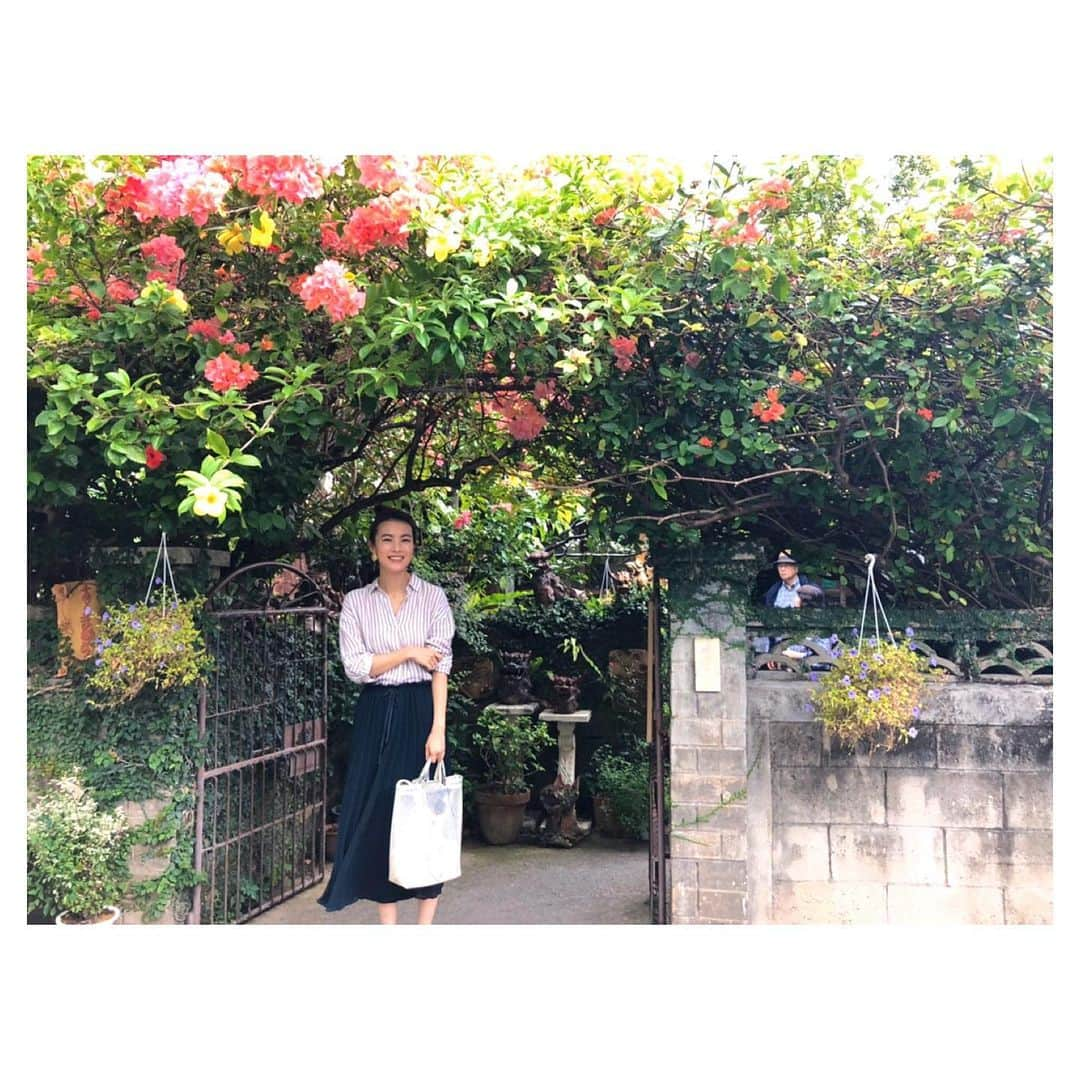 古川美有さんのインスタグラム写真 - (古川美有Instagram)「連休で沖縄に来ています🌺 . 美味しいもの沢山食べて、残り2ヶ月走り抜けるためチャージしてきます。 #沖縄 #女子旅 #okinawa #trip」11月3日 20時31分 - miyukogawa