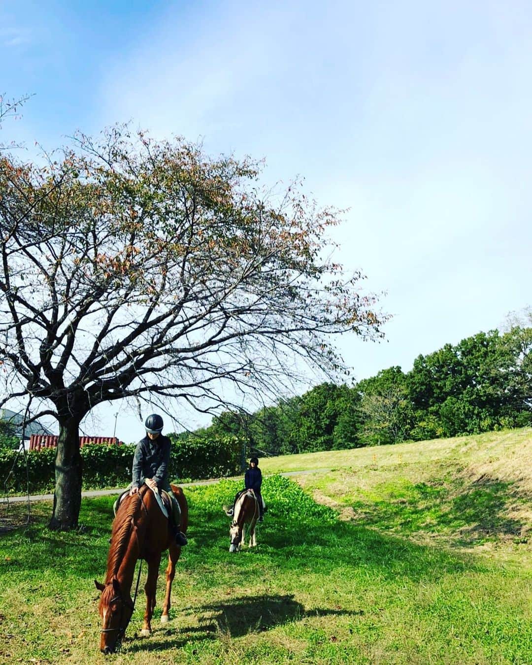 草刈麻有のインスタグラム：「良き休日。」