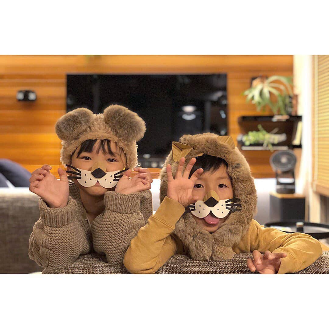 植物のある家のインスタグラム：「-帰ってきたハロウィン- . 今日、仕事から帰るとライオンが🦁 . 今年のハロウィンはライオンキングだったみたい . 当日、帰りが遅く見れなかったので… もう一度化けてくれました！ . . . #またもや妻作 #手作り #帰ってきたハロウィン #ハロウィン #ハロウィーン #Halloween #ライオン #ライオンキング . #手作り仮装 #仮装 #子供 . #リビング #インテリア #注文住宅 #間接照明 #ビカクシダ #ウッドブラインド #レッドシダー #羽目板 #岡山」