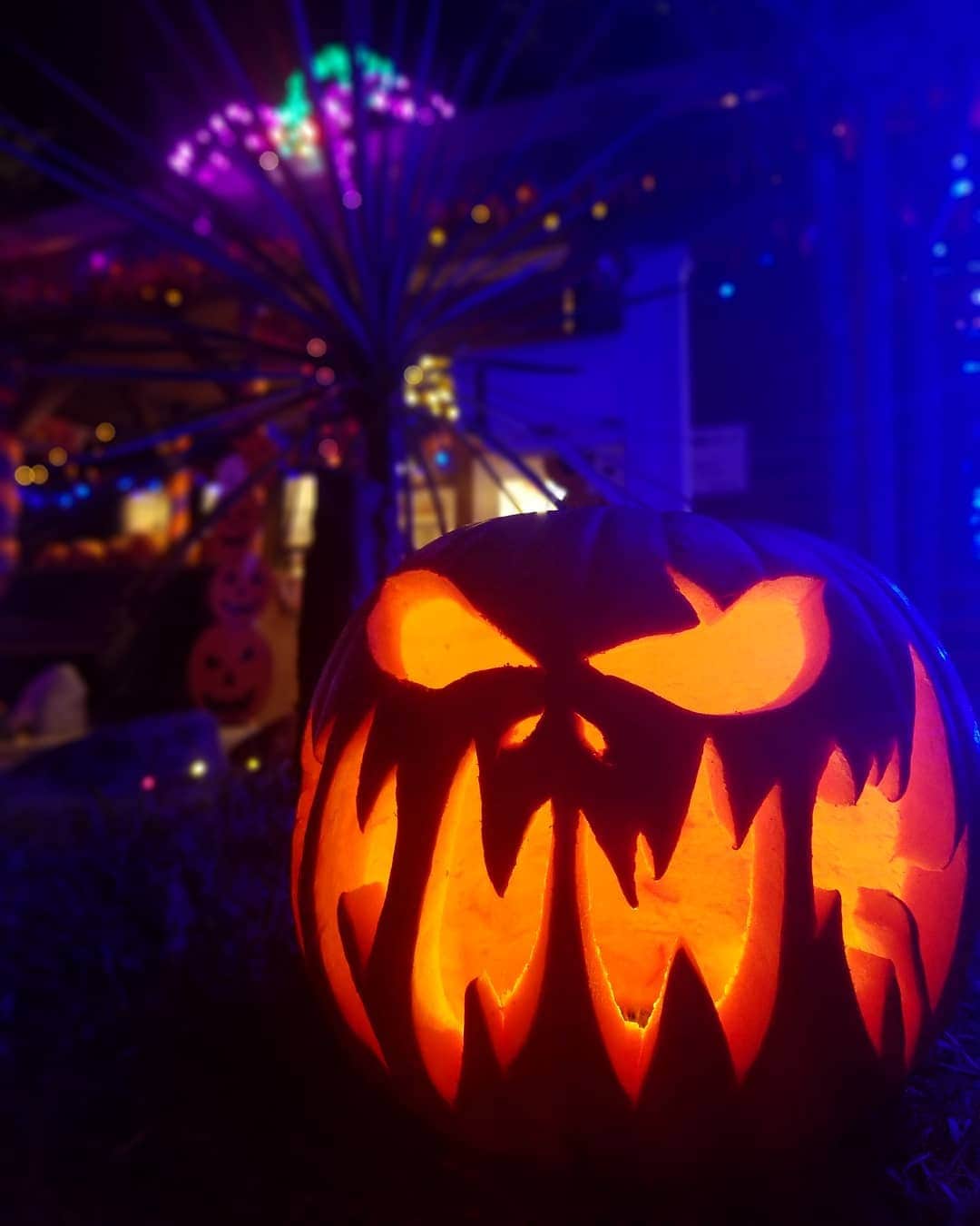 伊勢志摩エバーグレイズのグルメインスタ